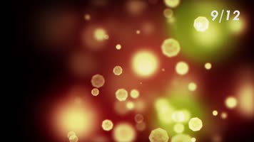 多种抒情光斑和尘埃合成素材包