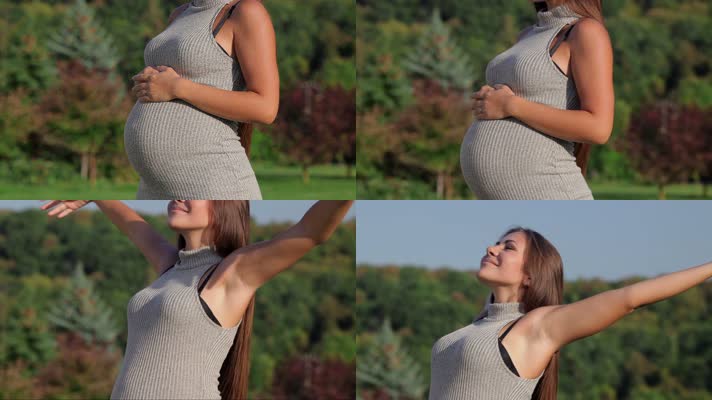 快乐的孕妇 怀孕 怀孕的母亲 