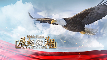 党政大气震撼图文片花片头