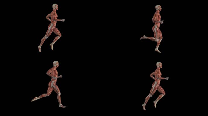 肌肉人 跑步 机器人 奔跑 