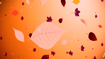 金秋落叶飘落led宣传片背景