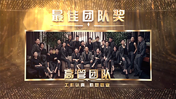 2分15秒全套大气年会颁奖典礼片尾定版