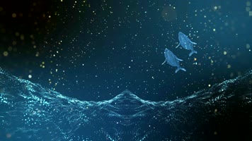 张雨生一天到晚游泳的鱼配乐成品