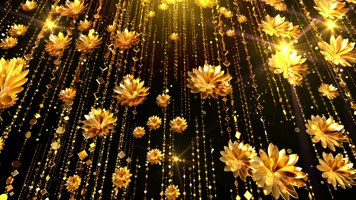 金色中国风荷花背景循环