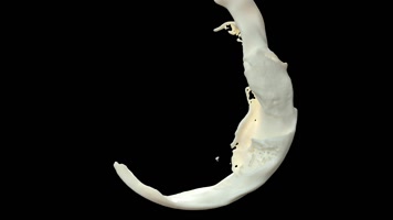 影视级牛奶流体alpha通道合成