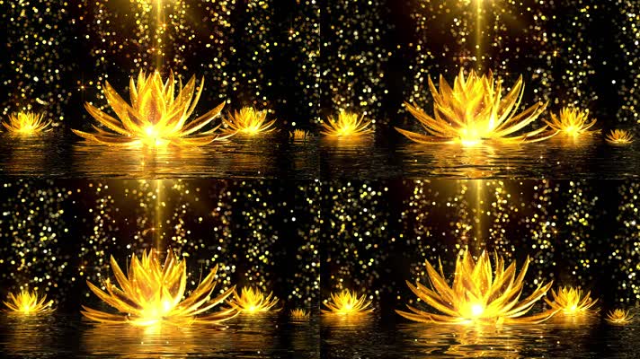 金色莲花中国风舞台背景