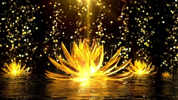 金色莲花中国风舞台背景