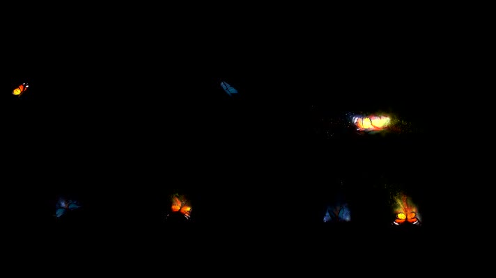 4K一对粒子蝴蝶（直接叠加）