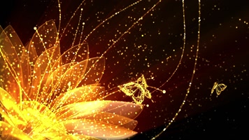 中国风金色粒子花瓣蝴蝶 中国风金色粒子花瓣蝴蝶