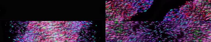 5K震撼全息色彩(超宽屏）