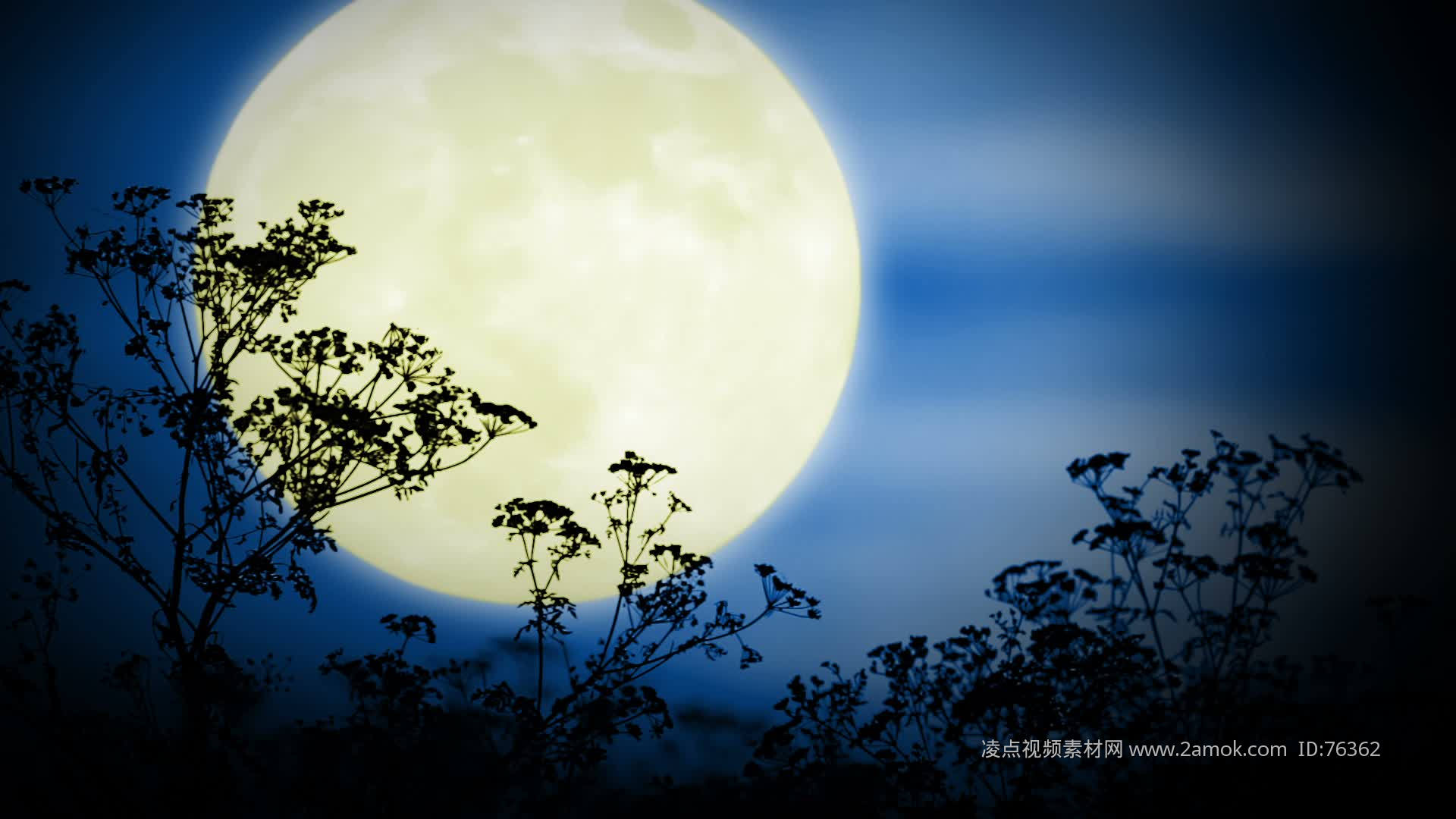 月光 夜景 壁纸（2）_风景_太平洋科技