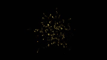 金色粒子光线特效合成