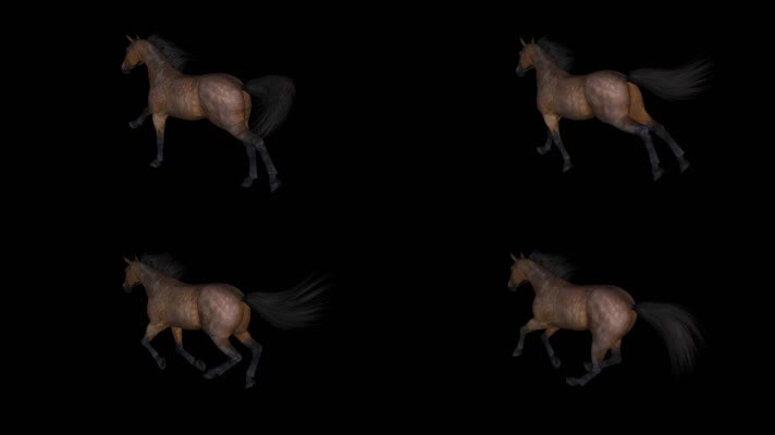 马奔跑（后侧面）