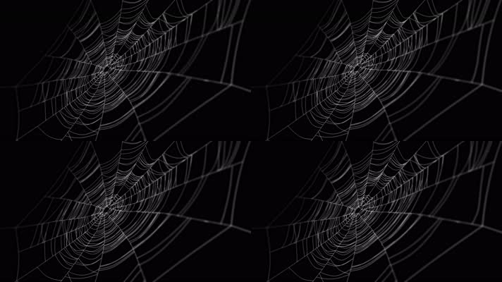 蜘蛛网 舞台背景 抽象变幻  