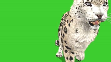 绿色花豹抠像特效
