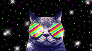 时尚猫舞星光闪烁vj视频