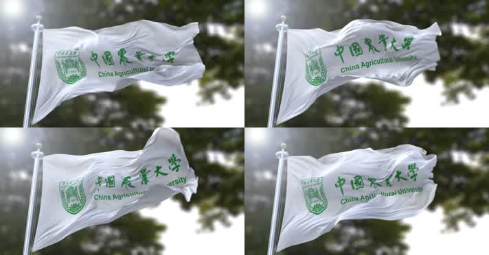 【4K】校旗·中国农业大学