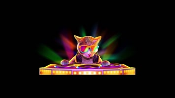 猫咪dj酒吧夜店 