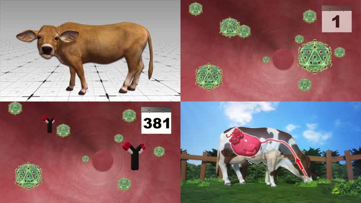 奶牛抗体防御艾滋病毒三维医疗动画