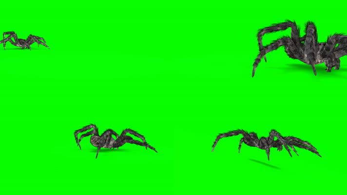 绿屏蜘蛛特效抠像素材