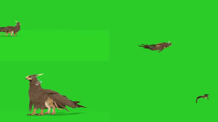 绿屏飞鸟狮鹫特效素材