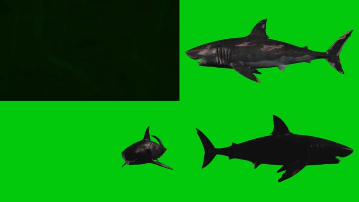绿屏鲨鱼抠像特效素材