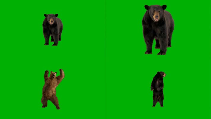 绿屏熊特效抠像素材