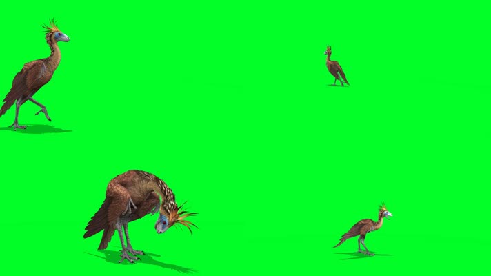 绿屏鸟形恐龙