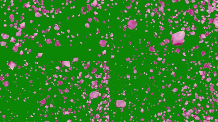 绿屏抠像3维空间花瓣飘动视频素材