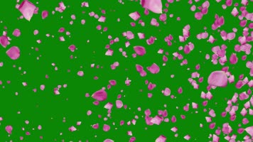 绿屏抠像3维空间花瓣飘动视频素材