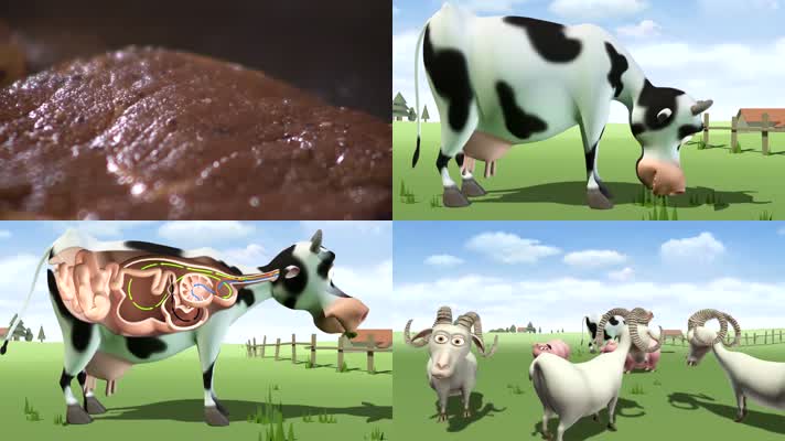 牛排草原牛养殖三维动画