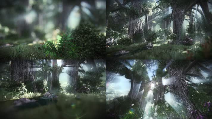 唯美梦幻森林LED大屏幕