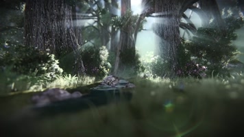 唯美梦幻森林LED大屏幕