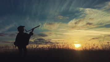 男孩手拿木制飞机 放飞玩具飞机  男孩手拿木制飞机 放飞玩具飞机