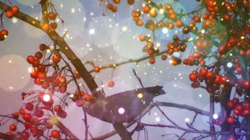 红山果-安与骑兵配乐成品视频背景