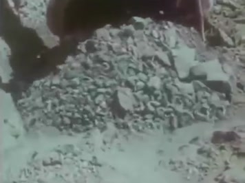 1974年胜利大港油田建成投产