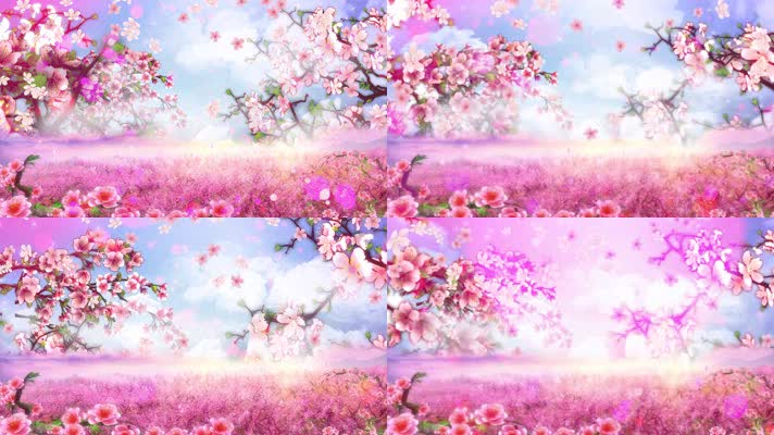 樱花-蓝眼睛演唱组 樱花-蓝眼睛演唱组