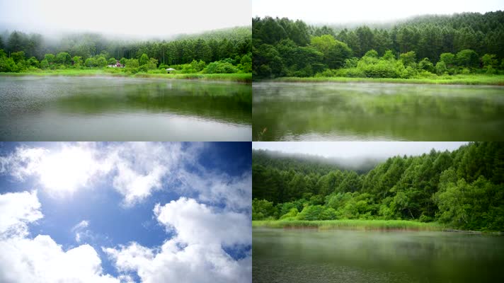 早上-晨雾雾气森林湖泊-河流小河绿树