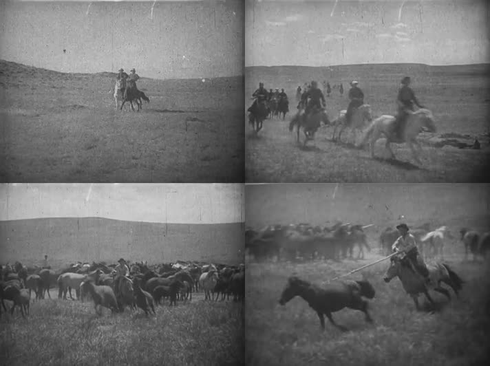 二战期间内蒙草原的牧马生活