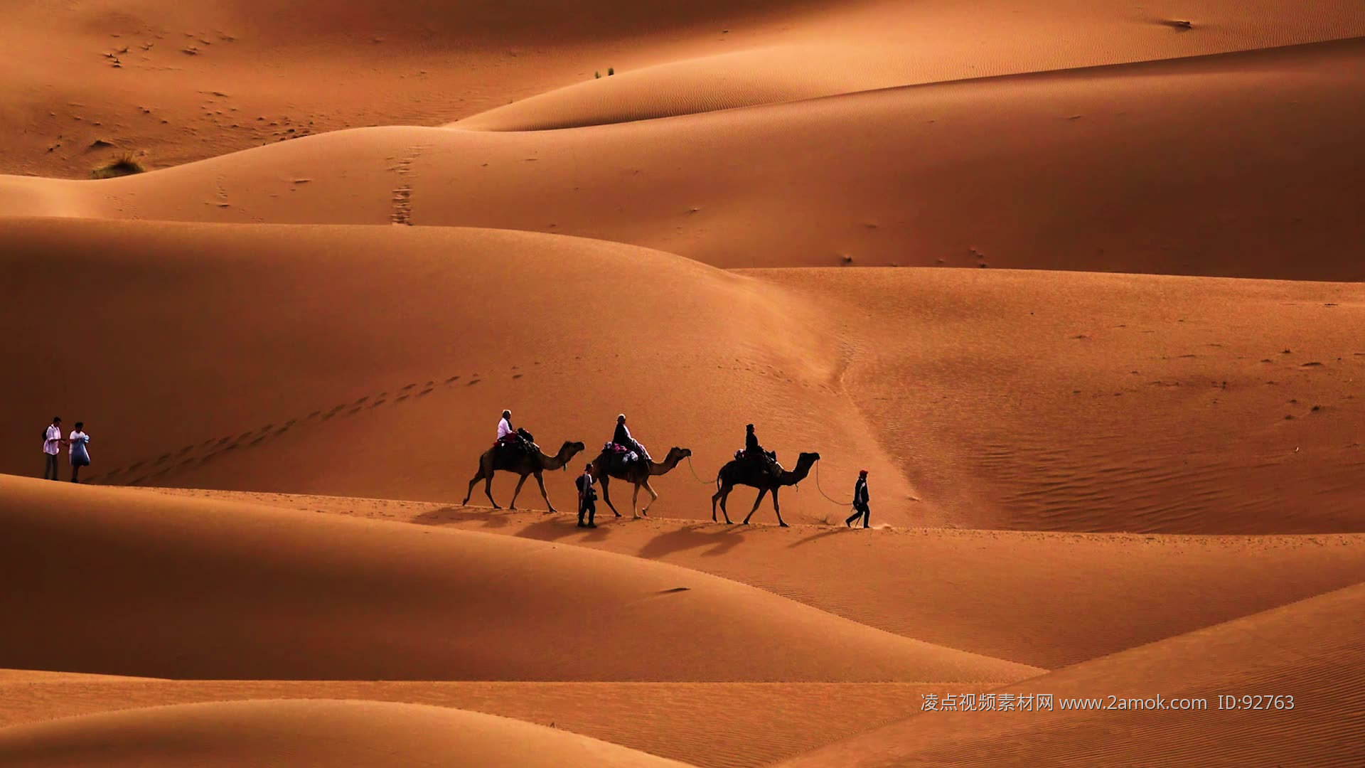 黄昏沙漠骆驼图片_自然风景_高清素材_图行天下图库