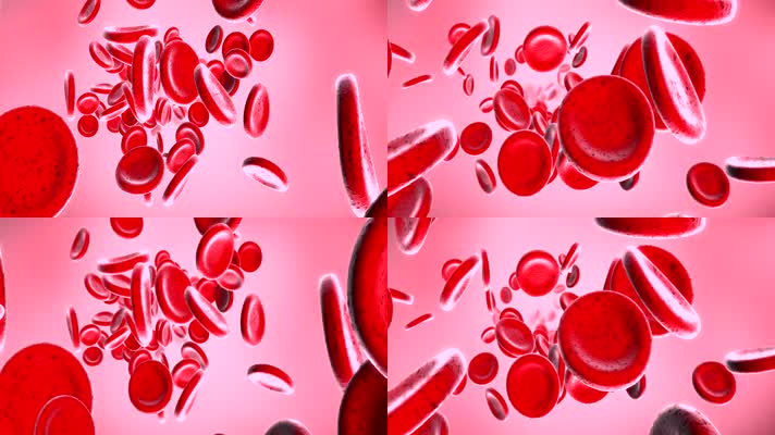 血液血小板细胞