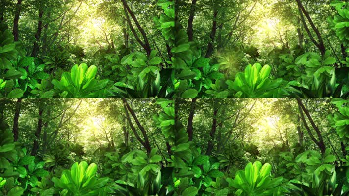 自然绿色派对舞蹈大屏幕视频背景
