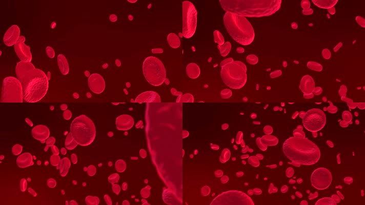 显微镜下血管血液细胞分子流动