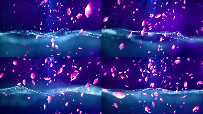 梦幻花瓣下落浪漫唯美1
