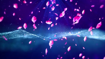 梦幻花瓣下落浪漫唯美1