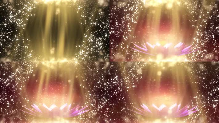 愿做菩萨那朵莲