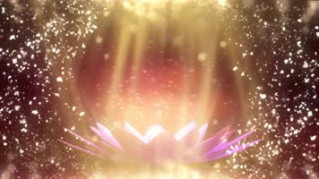 愿做菩萨那朵莲