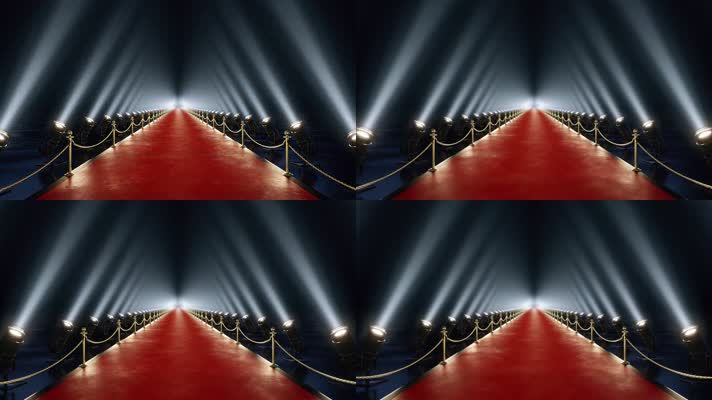 走红地毯 颁奖晚会 颁奖 领奖 