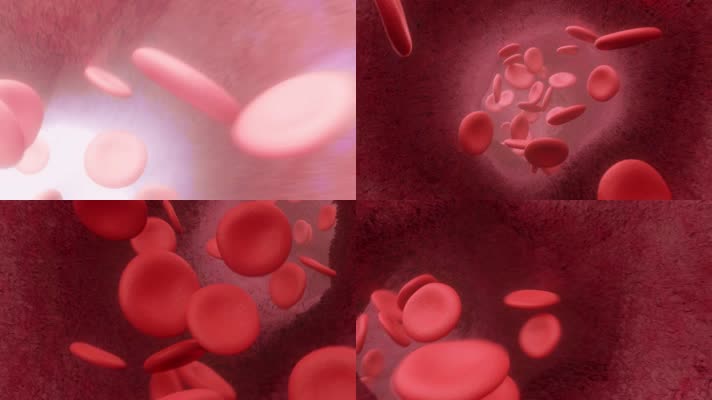 血液红细胞运动医学视频