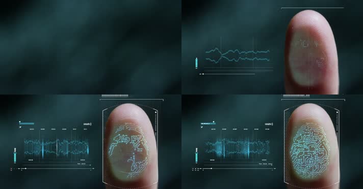 手掌纹 指纹解锁 安全解码  